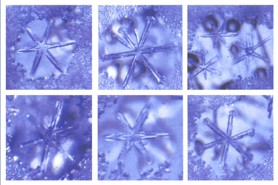 Bildschirmfoto 2025-07-29 um 16.38.15